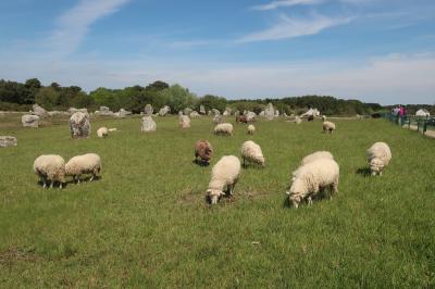 Carnac  (Bild vergr&ouml;&szlig;ern)