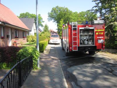 Foto des Albums: Heckenbrand, Eichenweg