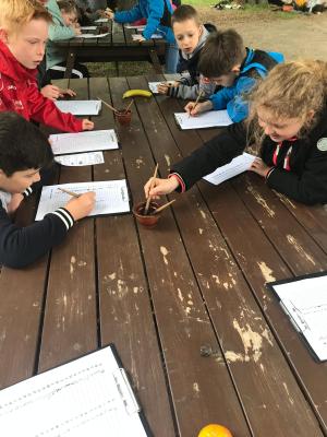 Foto des Albums: Klassenfahrt der 4. Klassen nach Mühlhausen