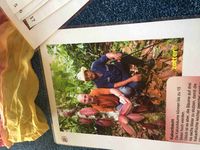 Foto des Albums: Kakao und Schokolade