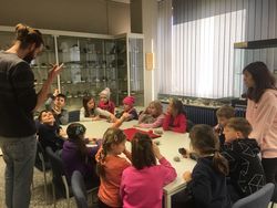 Foto des Albums: Kooperationsbörse Schule und Wissenschaft (März 2019)