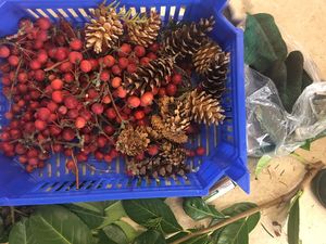 Foto des Albums: Die ersten Klassen binden ihren eigenen Adventskranz (Dezember 2018)