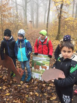 Herr Graf zeigte nicht nur den Wald, er brachte auch Anschauungsmaterial mit.  (Bild vergr&ouml;&szlig;ern)