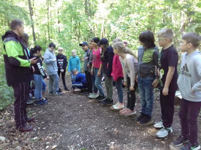 Foto des Albums: Waldjugendspiele