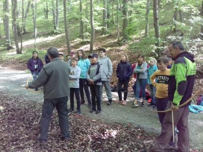 Foto des Albums: Waldjugendspiele
