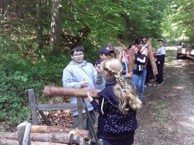 Foto des Albums: Waldjugendspiele