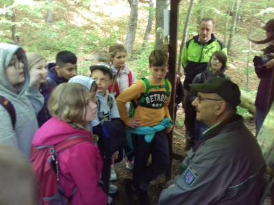 Foto des Albums: Waldjugendspiele