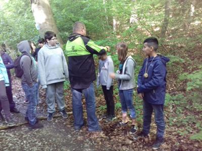 Foto des Albums: Waldjugendspiele