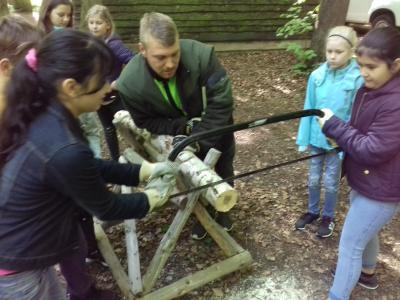 Foto des Albums: Waldjugendspiele