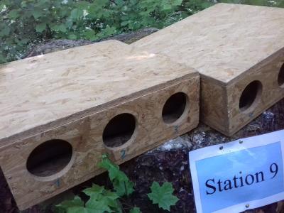 Foto des Albums: Waldjugendspiele