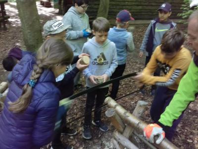 Foto des Albums: Waldjugendspiele