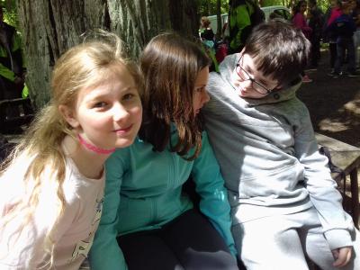 Foto des Albums: Waldjugendspiele