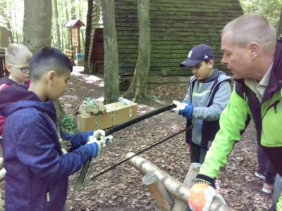 Foto des Albums: Waldjugendspiele