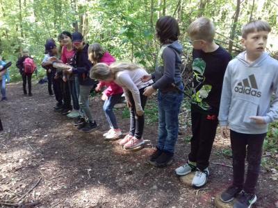 Foto des Albums: Waldjugendspiele