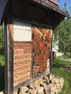 Ein wundersch&ouml;nes Bienenhote ist auf dem Gel&auml;nde des Obst- und Gartenbauvereines zu sehen.  (Bild vergr&ouml;&szlig;ern)