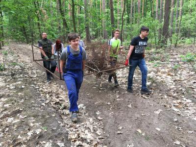 Foto des Albums: Der Wald wird gefegt
