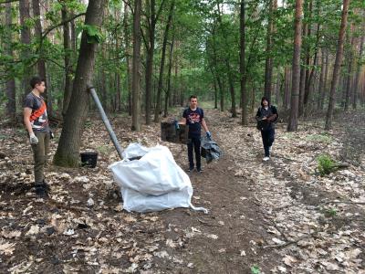 Foto des Albums: Der Wald wird gefegt