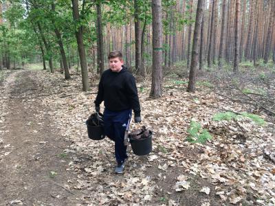 Foto des Albums: Der Wald wird gefegt