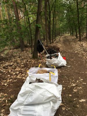 Foto des Albums: Der Wald wird gefegt