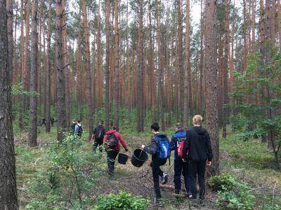 Foto des Albums: Der Wald wird gefegt