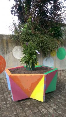 Foto des Albums: Projekttage