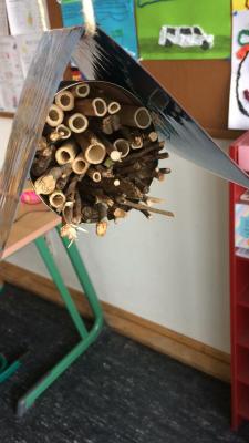Foto des Albums: Projekttage
