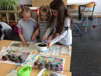 Foto des Albums: Projekttage