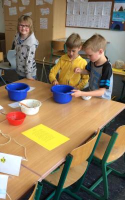 Foto des Albums: Projekttage