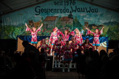 Foto des Albums: 1. Sitzung GCV 2019 Teil II (25. 05. 2019)