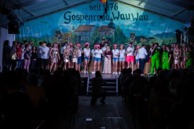 Foto des Albums: 1 Sitzung GCV 2019 Teil IV (25. 05. 2019)