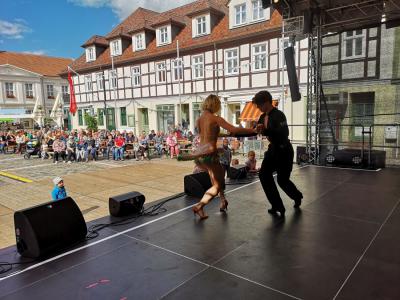 Viel Erotik schwang mit bei der Tanzdarbietung von Nikita Kuzmin und Nicole Wirt. Foto: Beate Vogel  (Bild vergr&ouml;&szlig;ern)
