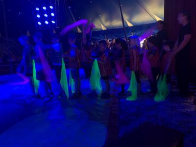Foto des Albums: Vorstellungen Zirkus