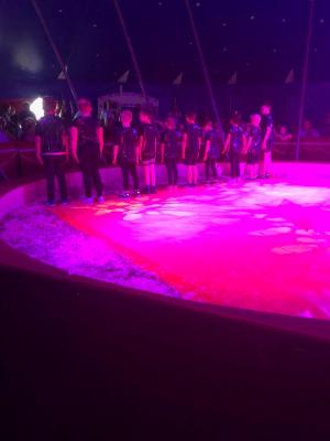 Foto des Albums: Vorstellungen Zirkus