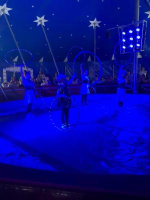 Foto des Albums: Vorstellungen Zirkus