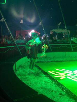 Foto des Albums: Vorstellungen Zirkus