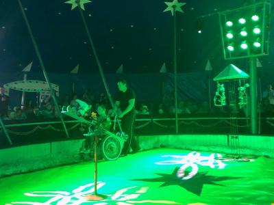 Foto des Albums: Vorstellungen Zirkus
