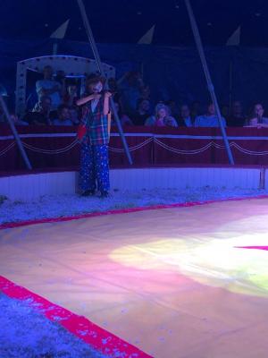 Foto des Albums: Vorstellungen Zirkus