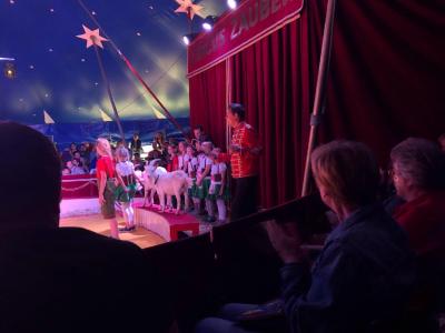 Foto des Albums: Vorstellungen Zirkus