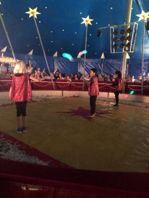 Foto des Albums: Vorstellungen Zirkus