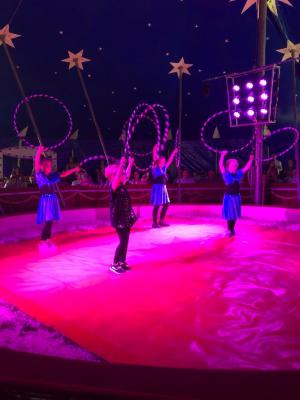 Foto des Albums: Vorstellungen Zirkus