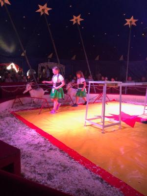 Foto des Albums: Vorstellungen Zirkus