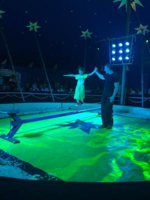 Foto des Albums: Vorstellungen Zirkus