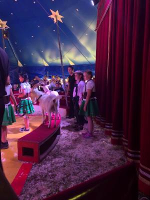 Foto des Albums: Vorstellungen Zirkus