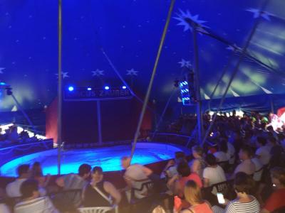 Foto des Albums: Vorstellungen Zirkus