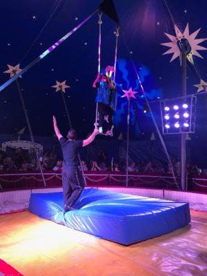 Foto des Albums: Vorstellungen Zirkus