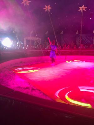 Foto des Albums: Vorstellungen Zirkus
