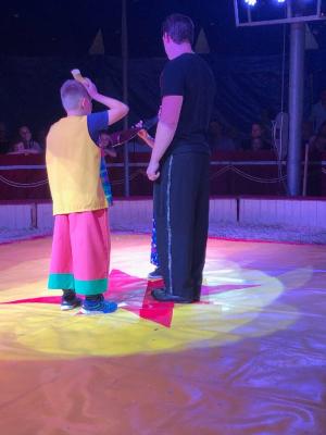 Foto des Albums: Vorstellungen Zirkus