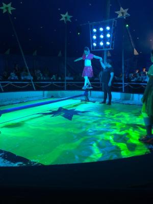 Foto des Albums: Vorstellungen Zirkus