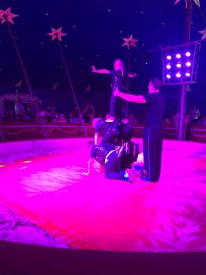 Foto des Albums: Vorstellungen Zirkus