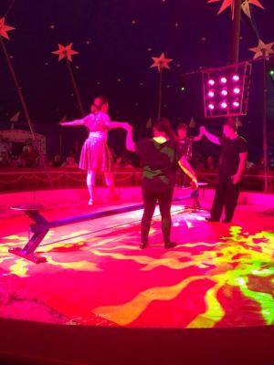 Foto des Albums: Vorstellungen Zirkus